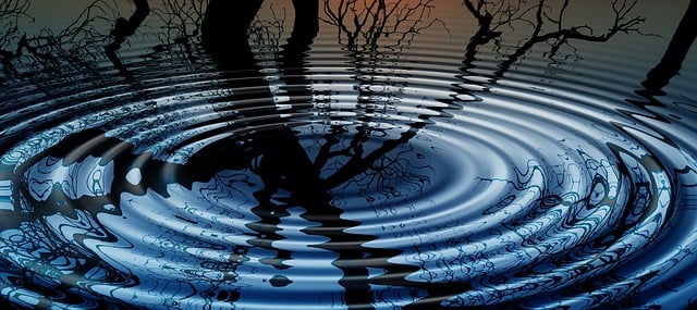 Uma gota cria ondas circulares.