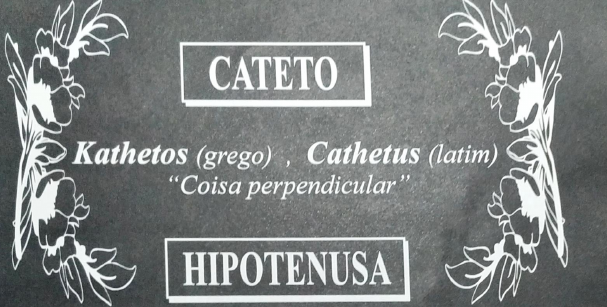 Triângulo Retângulo.
