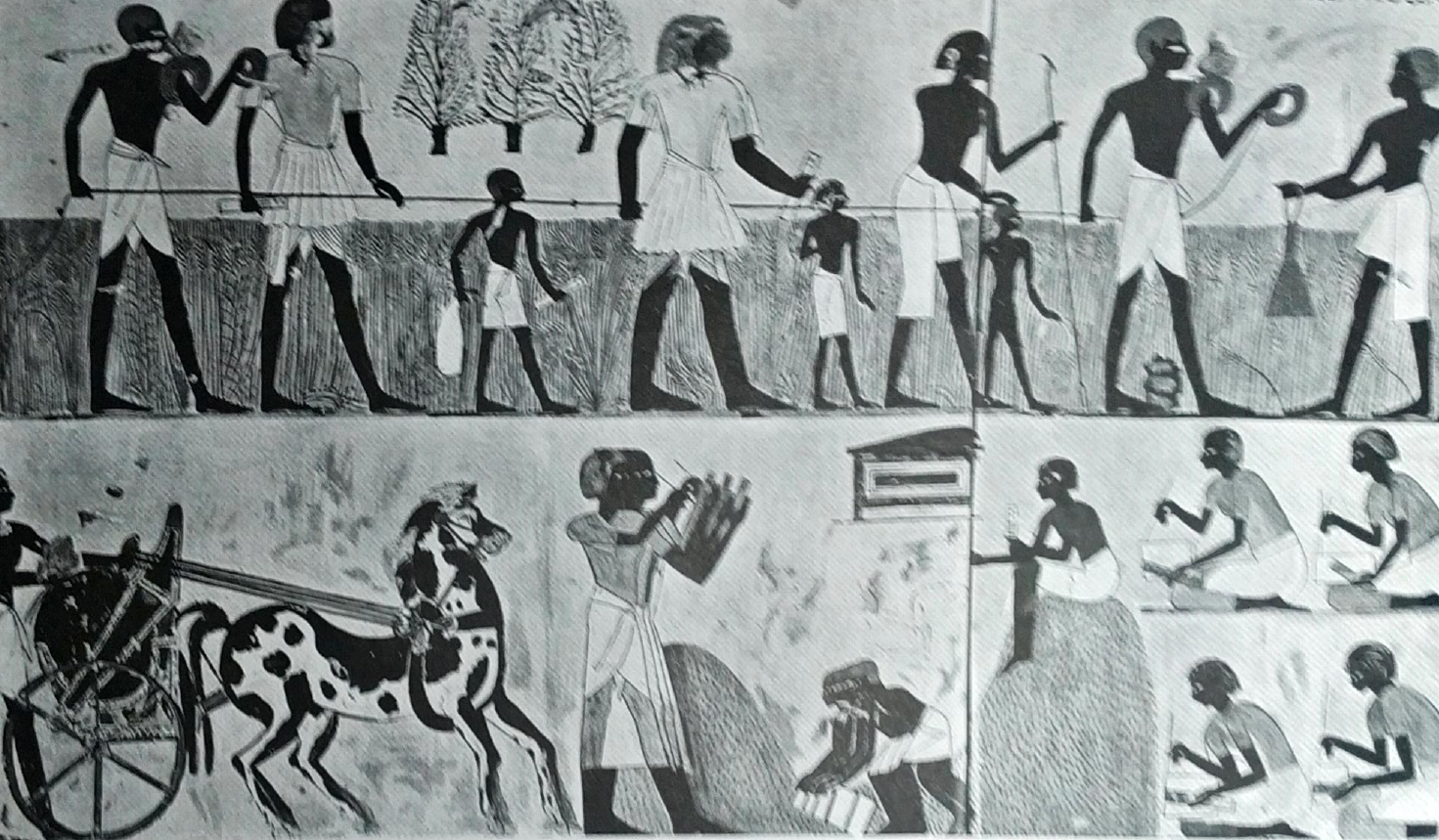 Obra de Euclides.