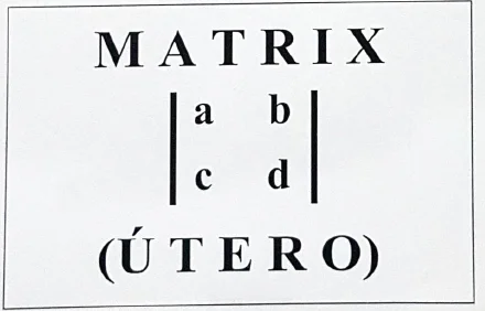 *Matrix*, em latim, quer dizer útero: o lugar onde algo é gerado.