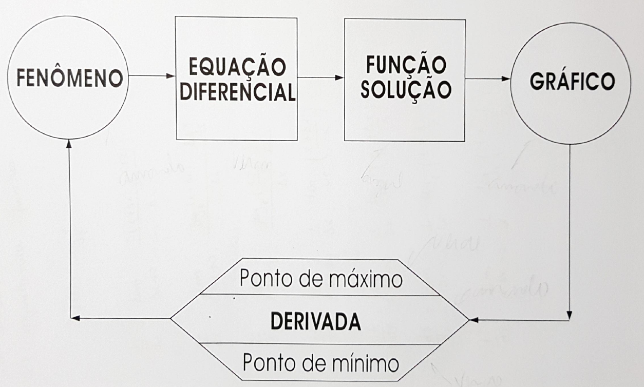O esquema de Euler: fenômeno → equação diferencial → função solução → gráfico. A derivada ainda aponta os pontos de máximo e de mínimo.