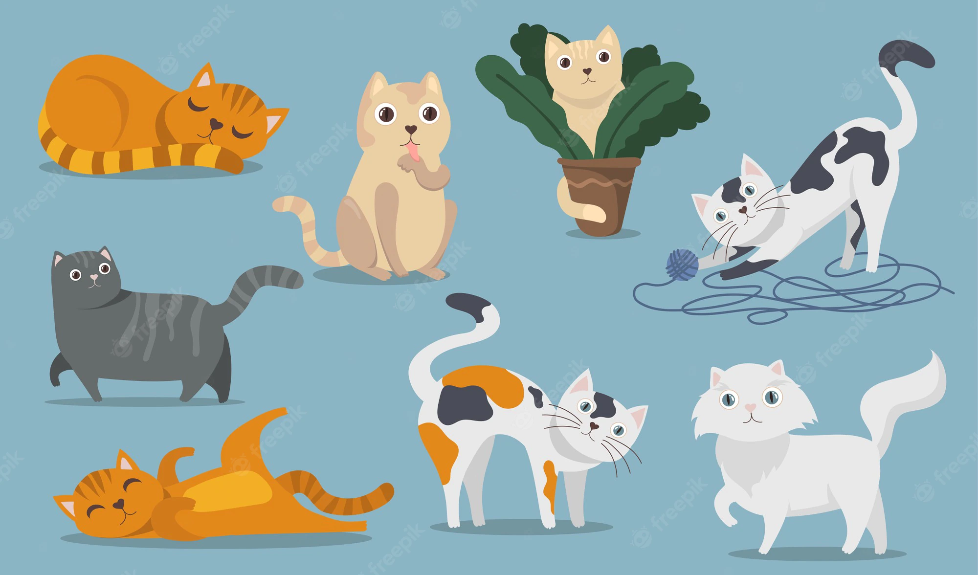 Muitos gatos