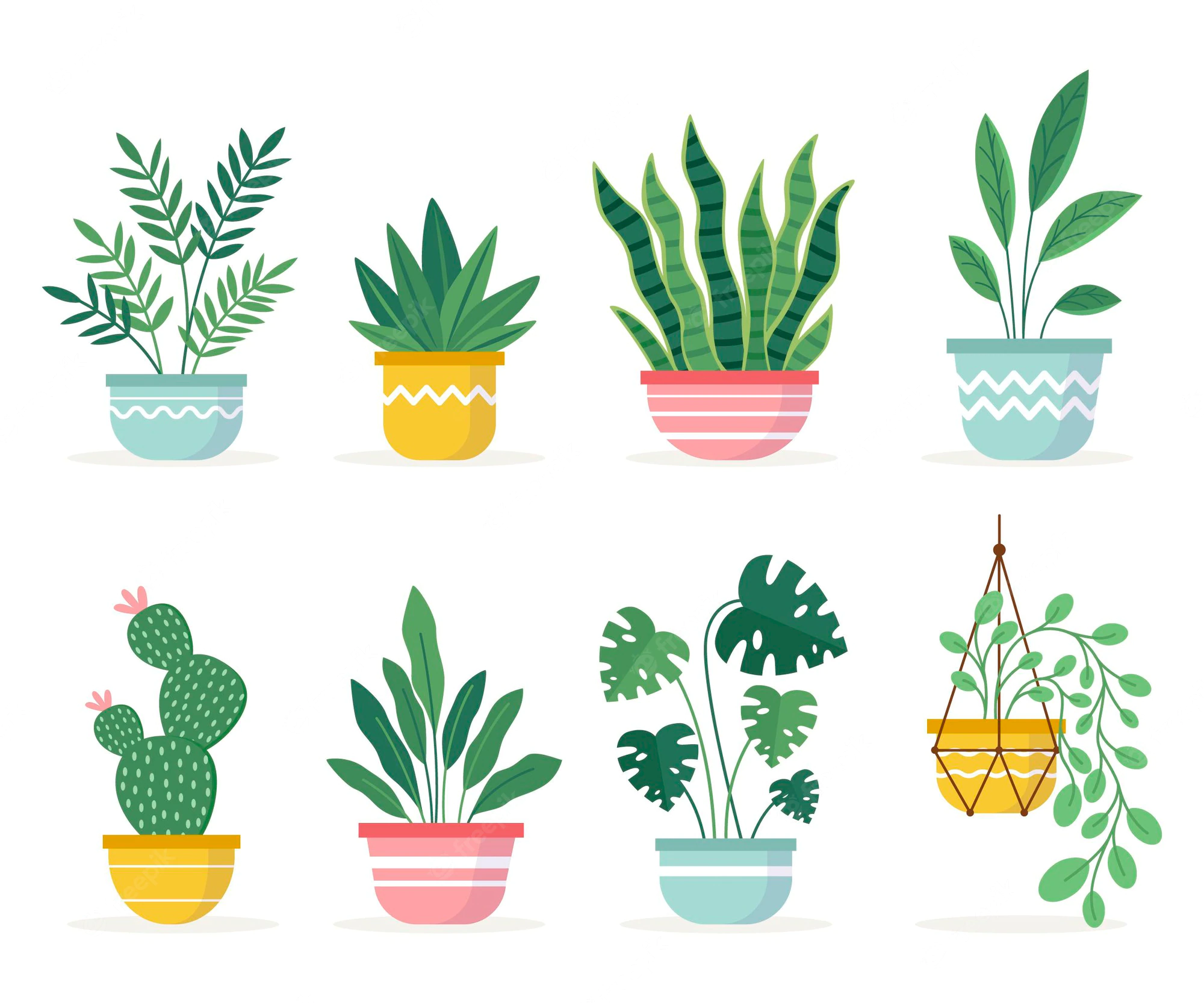 Planta